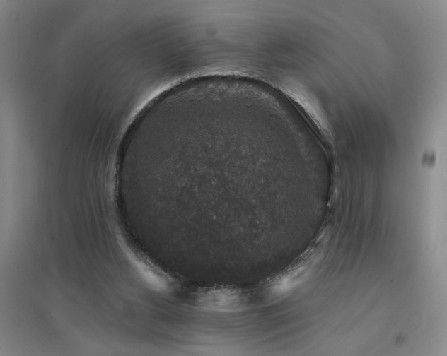 X0000094440156200711081256