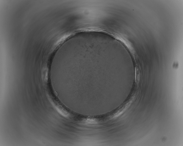 X0000094440157200711081256