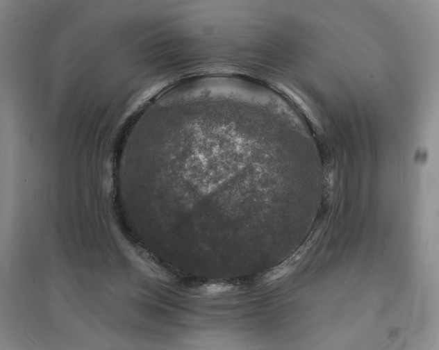X0000094440158200711081256