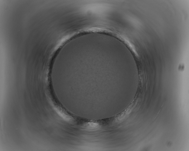 X0000094440159200711081256