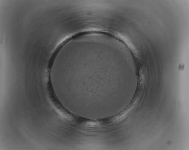 X0000094440160200711081256