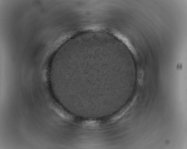 X0000094440161200711081256