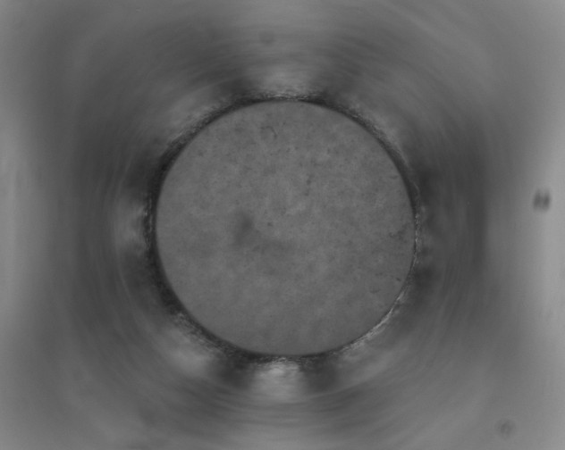 X0000094440162200711081256