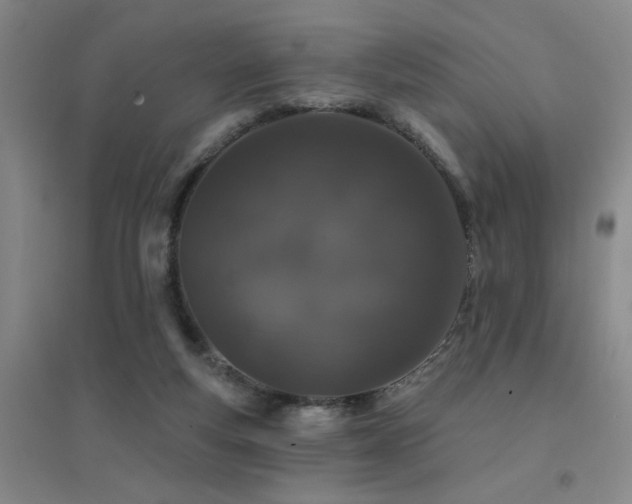 X0000094440163200711081256