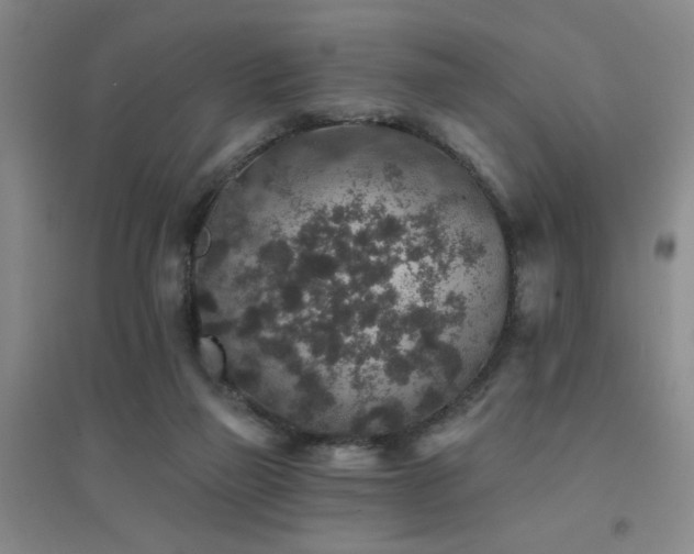 X0000094440165200711081257