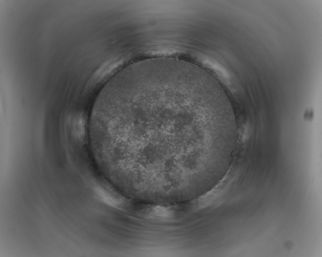 X0000094440166200711081257