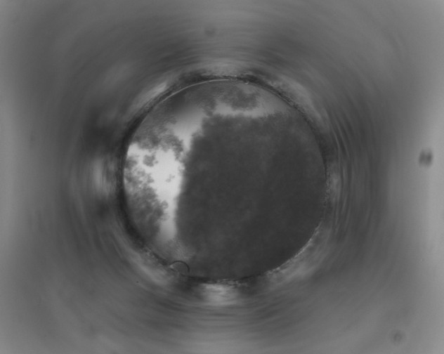 X0000094440167200711081257