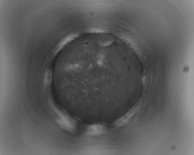 X0000094440168200711081257