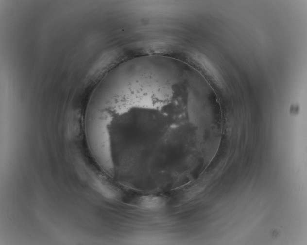 X0000094440169200711081257