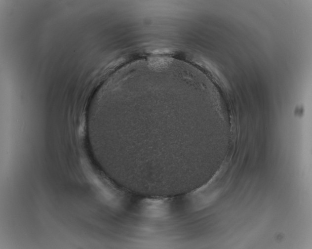 X0000094440170200711081257