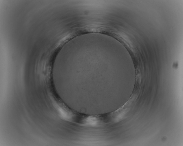 X0000094440171200711081257