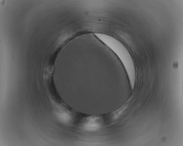 X0000094440172200711081257