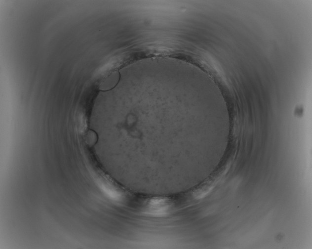 X0000094440173200711081257