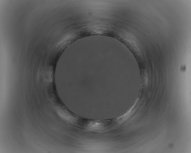 X0000094440174200711081257