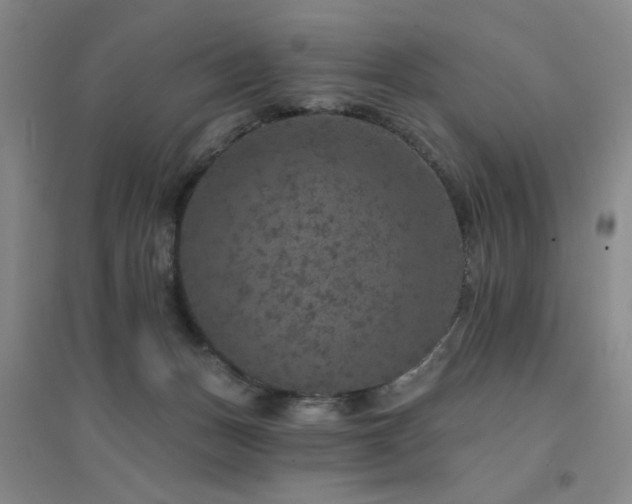 X0000094440175200711081257