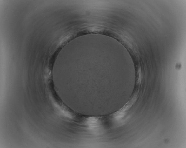X0000094440176200711081257