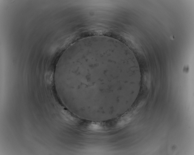 X0000094440177200711081257