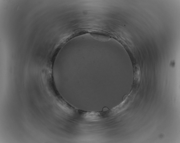X0000094440179200711081257