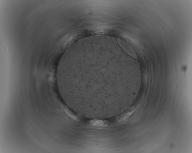 X0000094440181200711081257