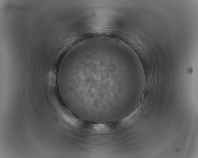 X0000094440183200711081257