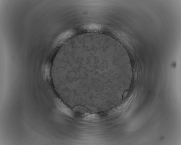 X0000094440185200711081257