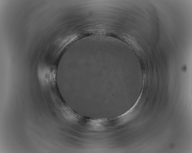 X0000094440190200711081257
