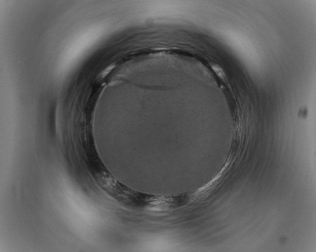 X0000094440191200711081257