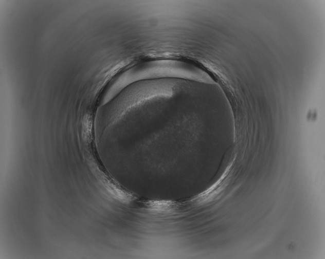 X0000094440192200711081257