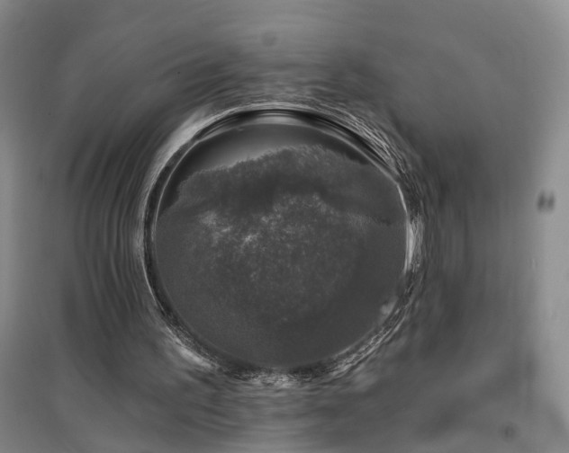 X0000094440195200711081256