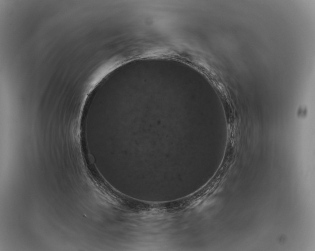 X0000094440196200711081256
