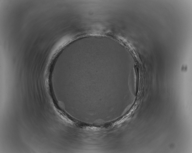 X0000094440197200711081256