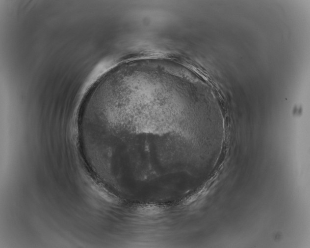 X0000094440198200711081256