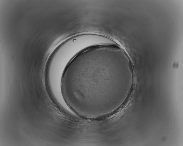 X0000094440199200711081256