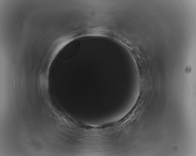 X0000094440200200711081256