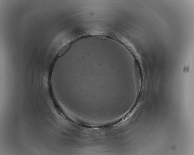 X0000094440201200711081256