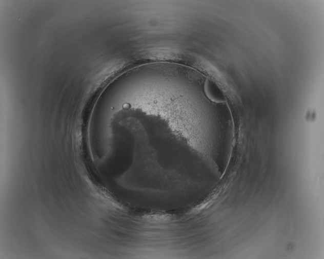 X0000094440202200711081256