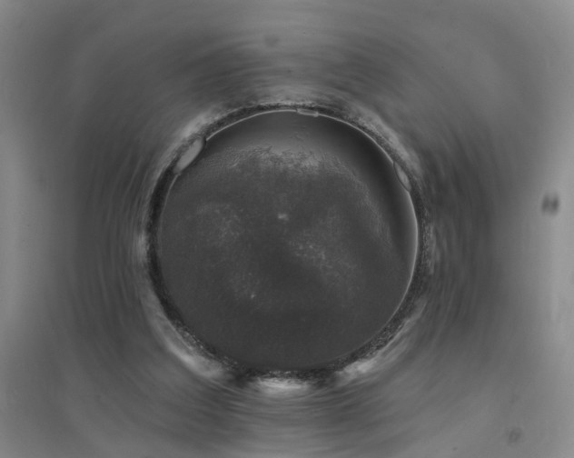 X0000094440203200711081256