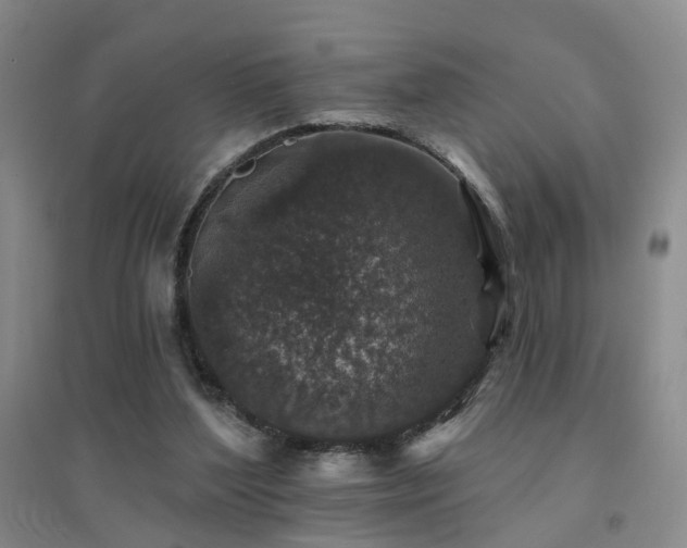 X0000094440204200711081256