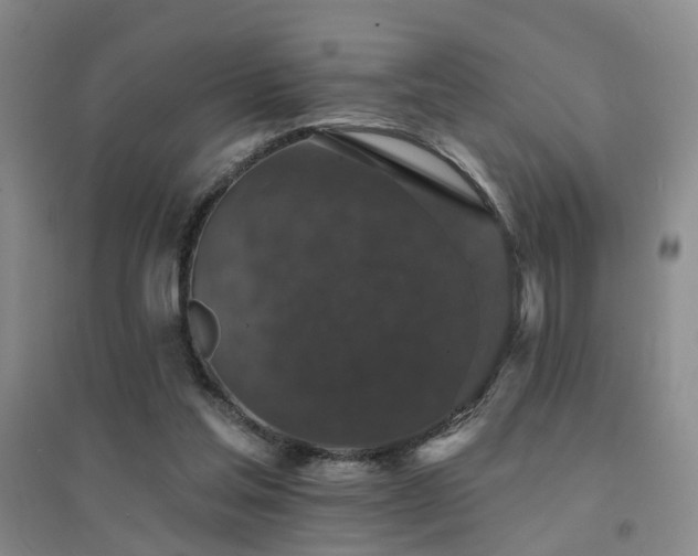X0000094440205200711081256