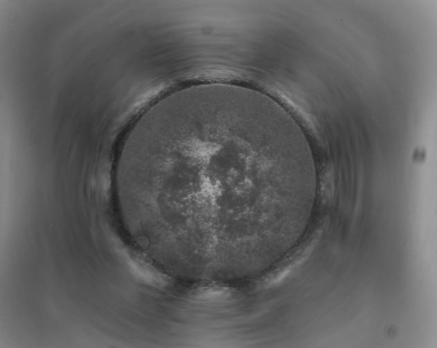 X0000094440206200711081256