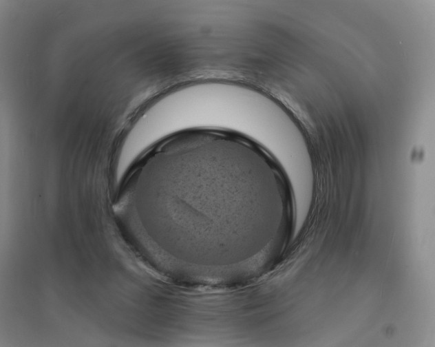 X0000094440207200711081256