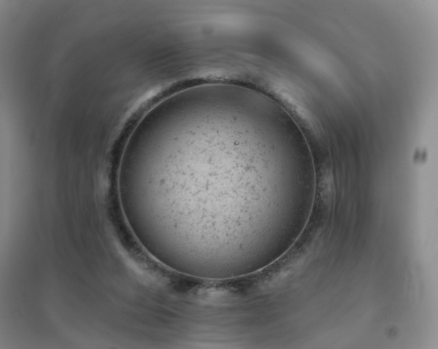 X0000094440208200711081256