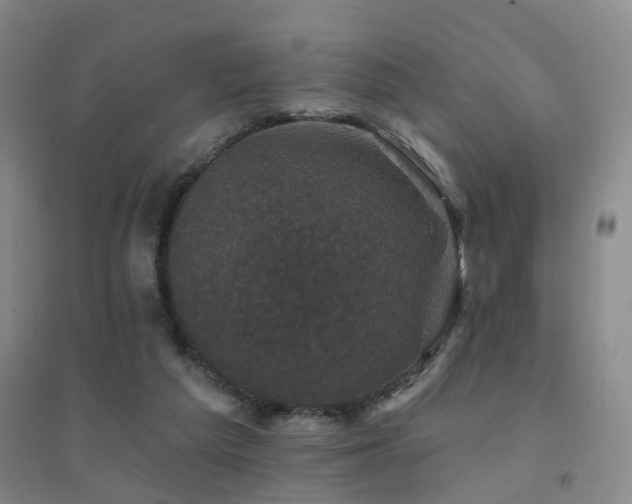 X0000094440209200711081256