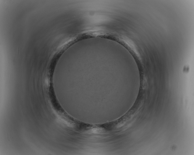 X0000094440210200711081256