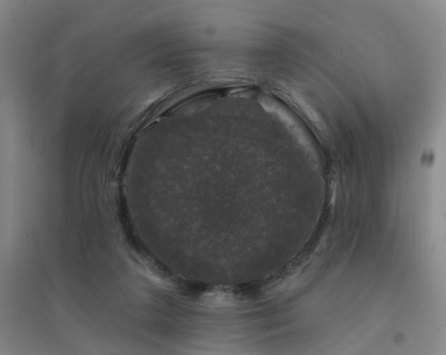 X0000094440211200711081256