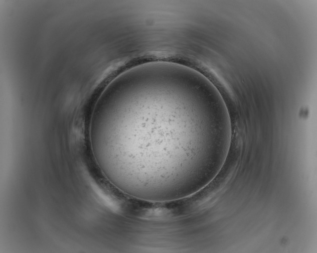 X0000094440212200711081256