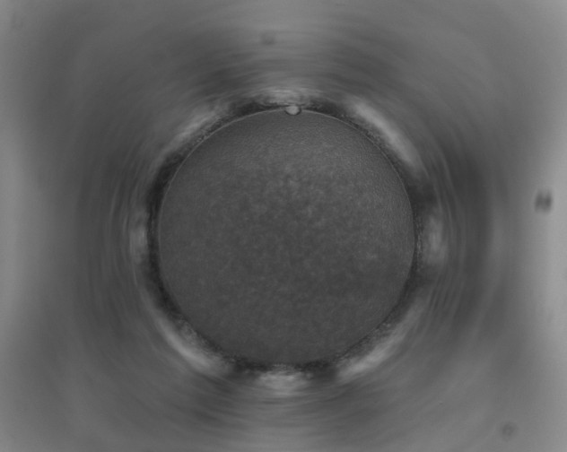 X0000094440213200711081256