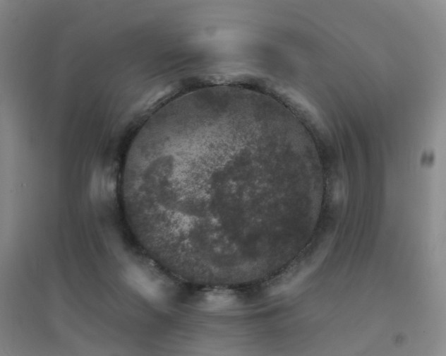 X0000094440214200711081256