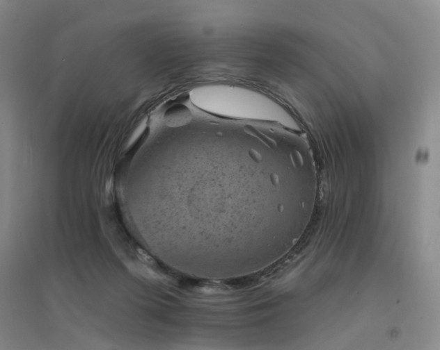 X0000094440215200711081256