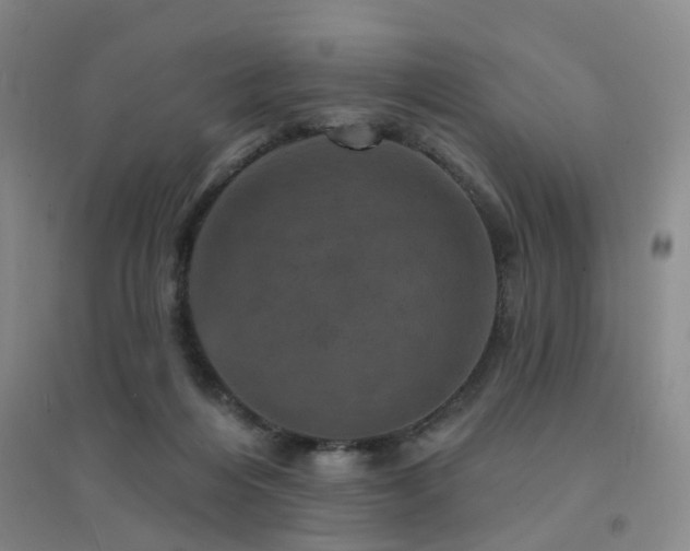 X0000094440216200711081256